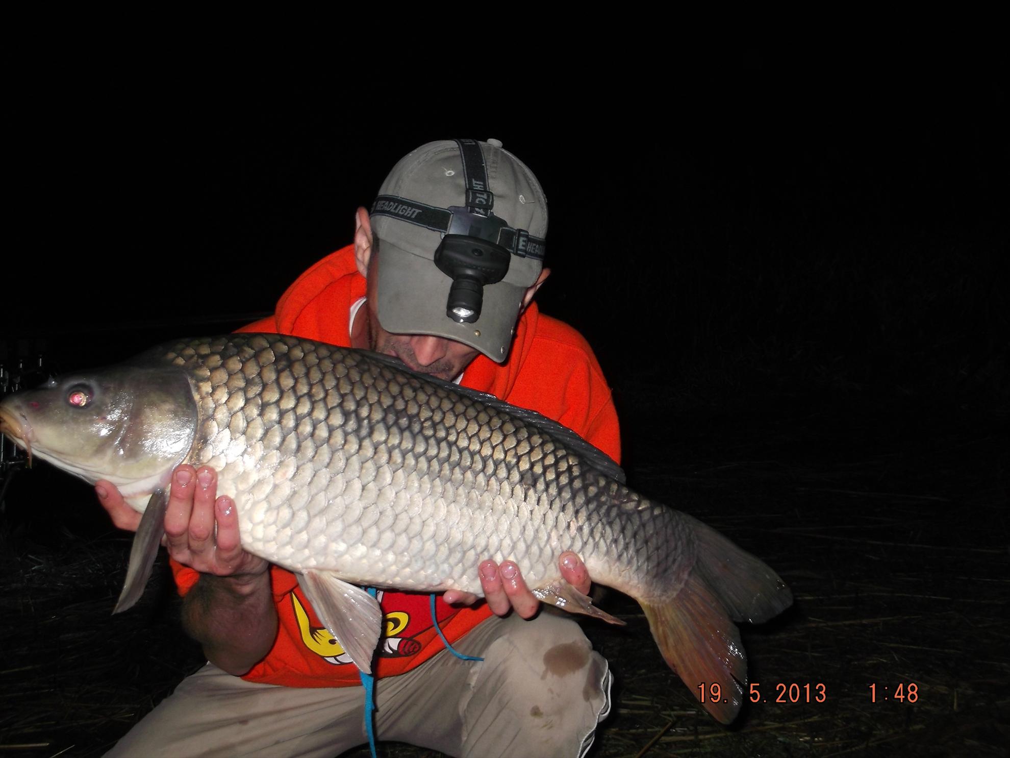 noaptea partea a ll - dscf0625.JPG